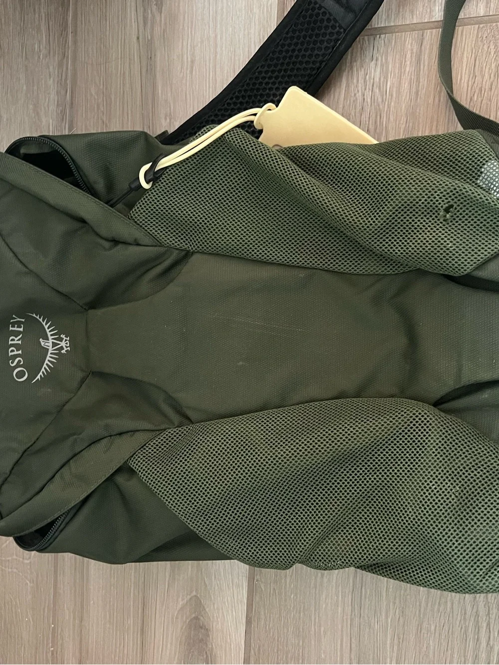 OSPREY Farpoint 55 Travel Backpack with extra backpack - Dark Olive Gree